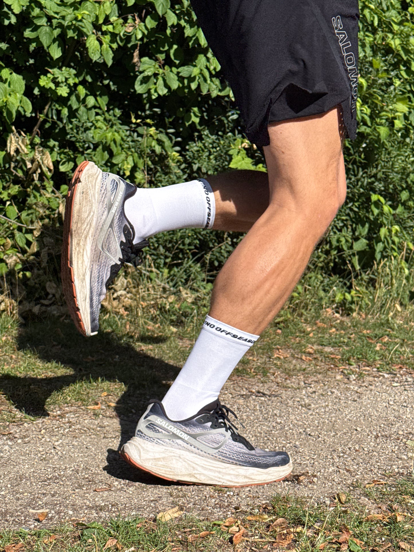 PERFORMANCE SOCKS ULTRALIGHT