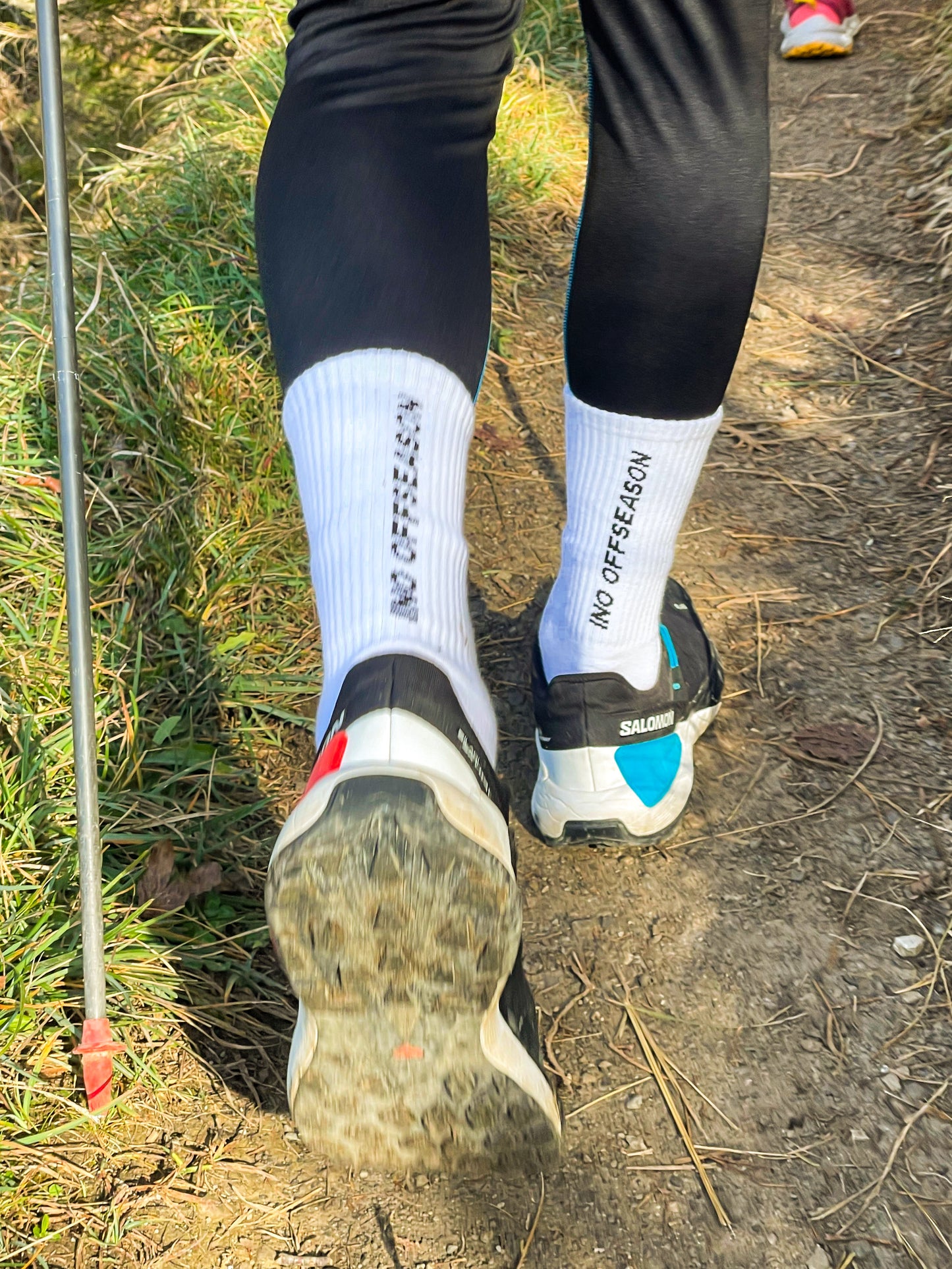 EVERYDAY SOCKS